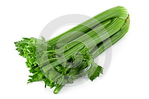 fresh celery isolated over a white background