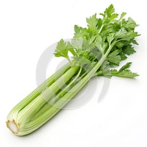 Celery isolated on white background