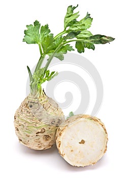 Fresh celery with root