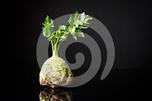 Fresh celery root shot with greens on a black background