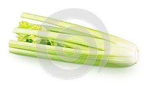 Fresh celery stalk isolated on a white background.