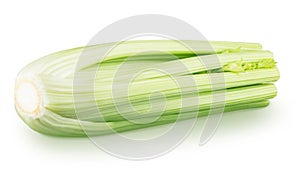 Fresh celery stalk isolated on a white background.