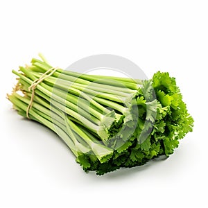 fresh celery sticks isolated on a pure white background