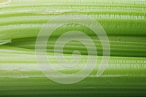 Fresh celery