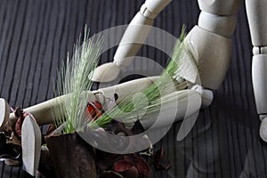 fresh cereal stalk on the legs of a wooden doll, with many dried spring fruits