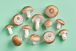 Fresh champignon mushroom isolated on pastel green background. Raw food ingredient concept Flat lay Generative AI