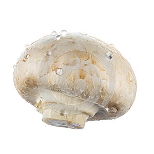 Fresh champignon mushroom isolated on white. 100-percent sharpness.