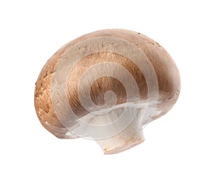 Fresh champignon mushroom isolated on white.