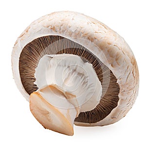 Fresh champignon mushroom isolated on white background with clipping path.