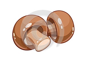 Fresh champignon mushroom vector illustration eps10
