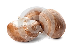 Fresh champignon mushrooms isolated on white.