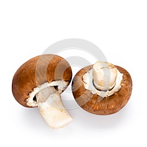 Fresh champignon mushrooms isolated on white.