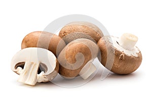 Fresh champignon mushrooms isolated on white.