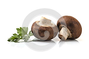 Fresh champignon mushrooms isolated on white background