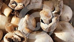 Fresh champignons mushroom in a white bowl on table