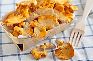 Fresh chanterelle mushrooms