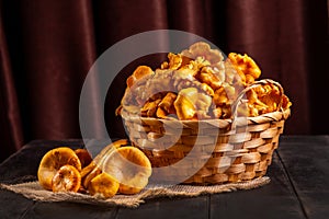 Fresh chanterelle mushrooms gathered in the forest, in a wicker basket and on a wooden background