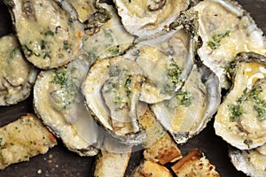 Fresh Char-Grilled Oysters