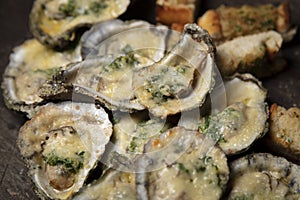 Fresh Char-Grilled Oysters