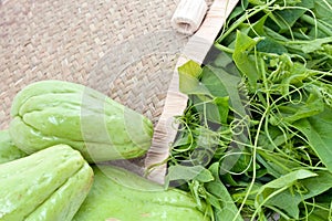 Fresh Chayote and vines