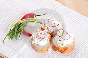 Fresh cheese with agarden radish