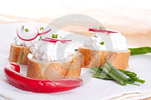 Fresh cheese with agarden radish