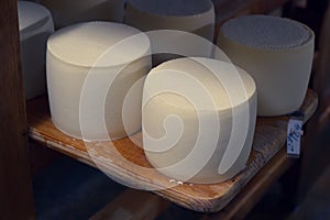 Fresh cheese aging on the shelves of milk factory