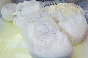 Fresh cheese in cheesecloth