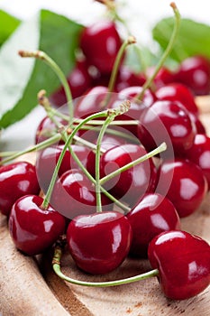 Fresh cherries