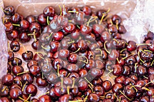 fresh cherries at a fruit market