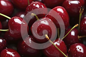 Fresh Cherries With Glistening Water Droplets, Juicy and Tempting Fruits, Close-Up Photography