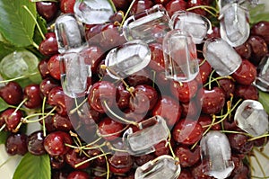 Fresh cherries with ice cubes