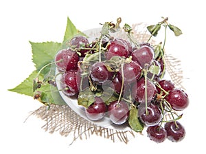 Fresh Cherries isolated on white