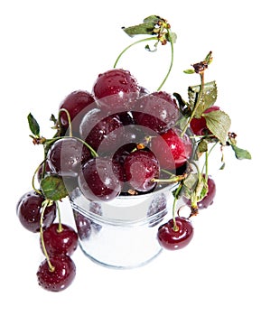 Fresh Cherries isolated on white