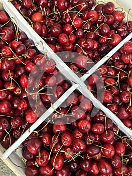 Fresh cherries on the market