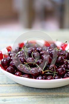 Fresh Cherries in Red Gingham Plate