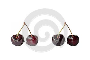 Fresh cherries with water drops isolated on white