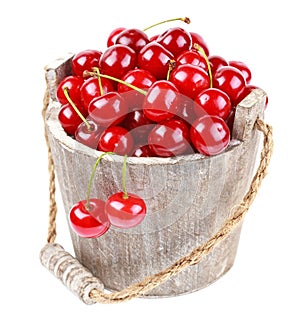 Fresh cherries in a wood bucket