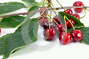 Fresh cherry berries, green leafs and twig isolated on white background