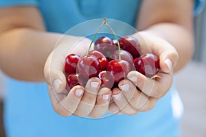 Fresh cherry in the boy hands
