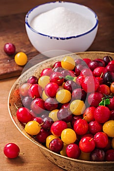 Fresh cherry plums
