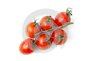 Fresh cherry red tomatoes on sprig with small shadow isolated on white background. Macro, flat lay. Horizontal, close-up. Healthy