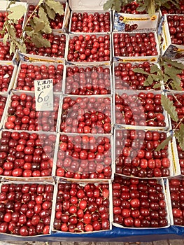 Fresh cherry photo