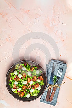 Fresh Cherry Tomato, Mozzarella salad with green lettuce mix