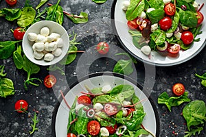 Fresh Cherry Tomato, Mozzarella salad with green lettuce mix and red onion. served on plate. healthy food.