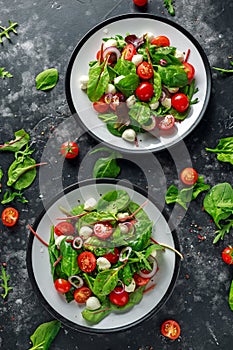 Fresh Cherry Tomato, Mozzarella salad with green lettuce mix and red onion. served on plate. healthy food.