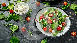 Fresh Cherry Tomato, Mozzarella salad with green lettuce mix and red onion. served on plate. healthy food.