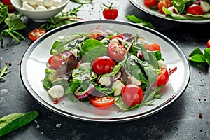 Fresh Cherry Tomato, Mozzarella salad with green lettuce mix and red onion. served on plate. healthy food.