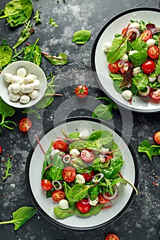 Fresh Cherry Tomato, Mozzarella salad with green lettuce mix and red onion. served on plate. healthy food.