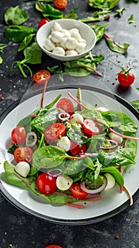 Fresh Cherry Tomato, Mozzarella salad with green lettuce mix and red onion. served on plate. healthy food.